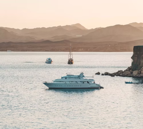 Hula Hula Island Private Boat Trip Hurghada Snorkeling