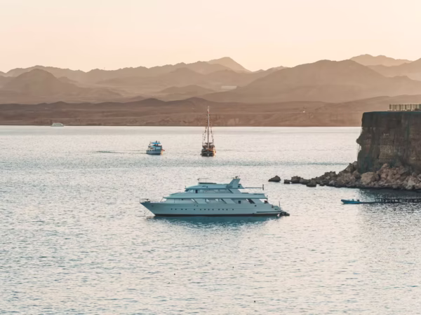 Hula Hula Island Private Boat Trip Hurghada Snorkeling