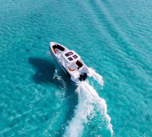Dolphin House Shared Speedboat Trip Hurghada Snorkeling Tour