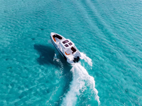 Dolphin House Shared Speedboat Trip Hurghada Snorkeling Tour