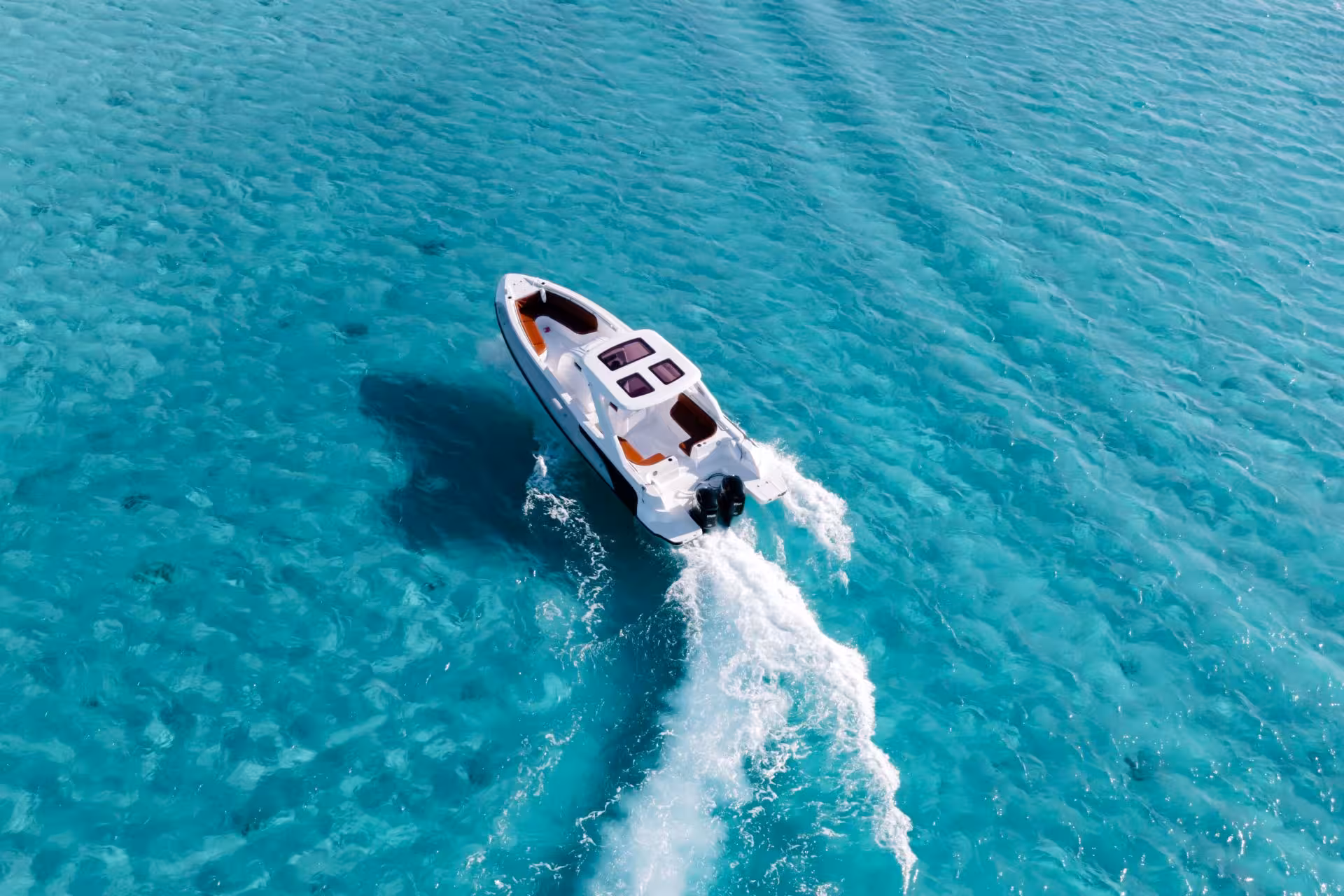 dolphin house shared speedboat