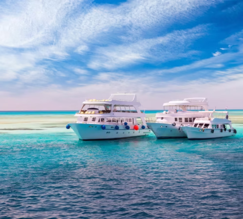 Paradise Island Private Boat Trip Hurghada Snorkeling Tour