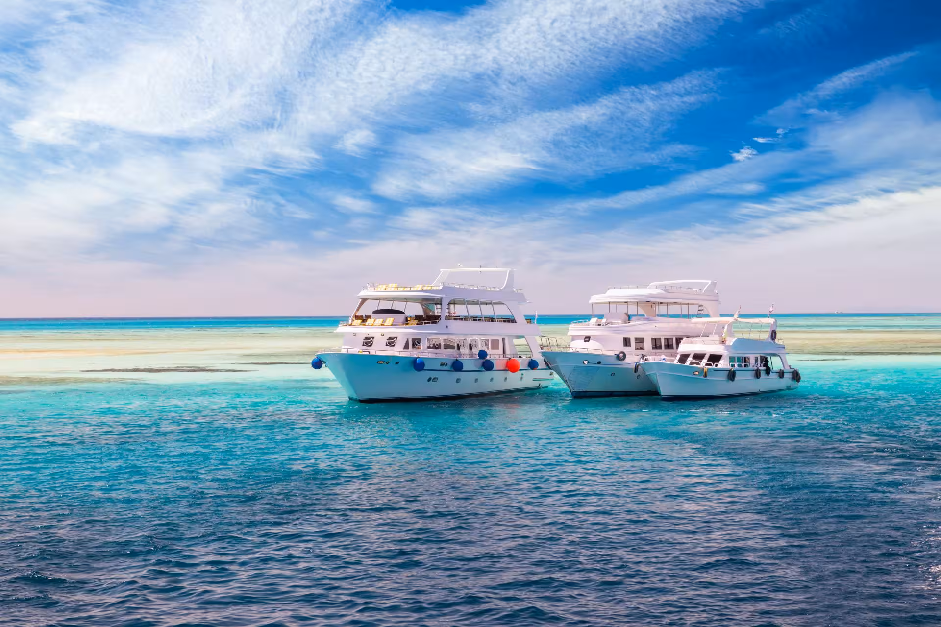 paradise island tour