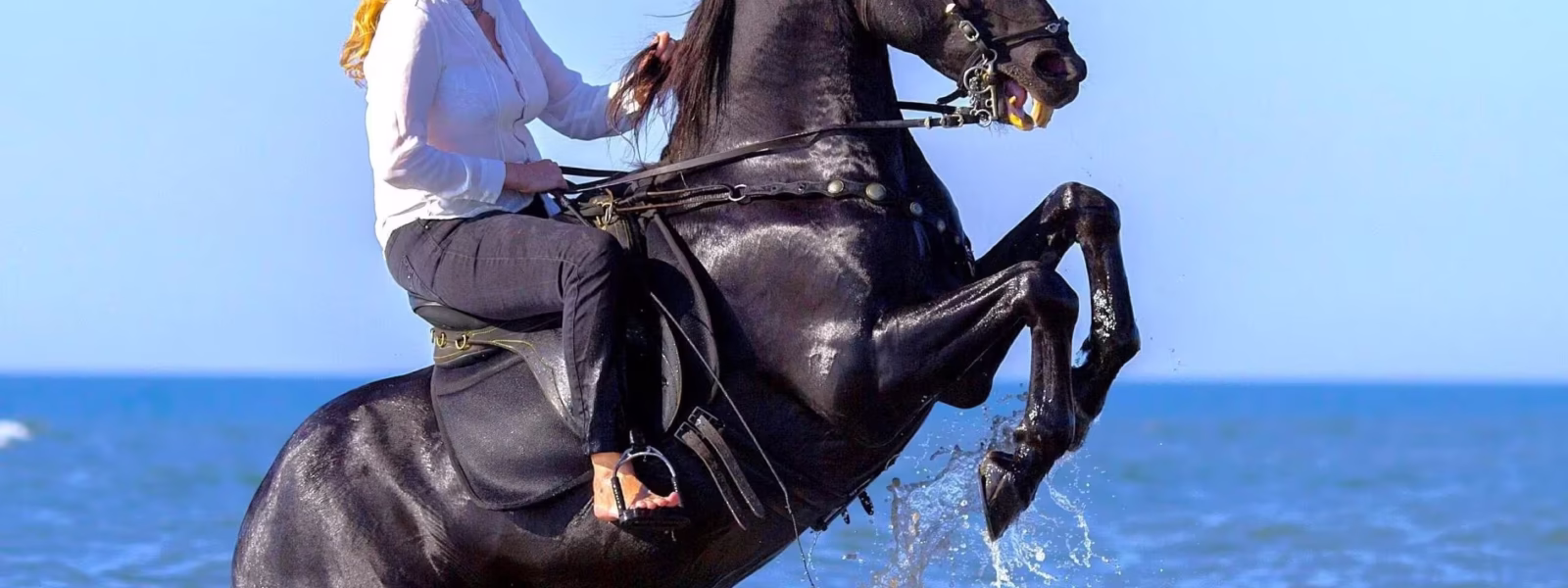 Horse Riding Hurghada