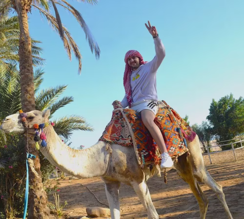 Hurghada Desert Camel Ride With Bedouin Village Experience