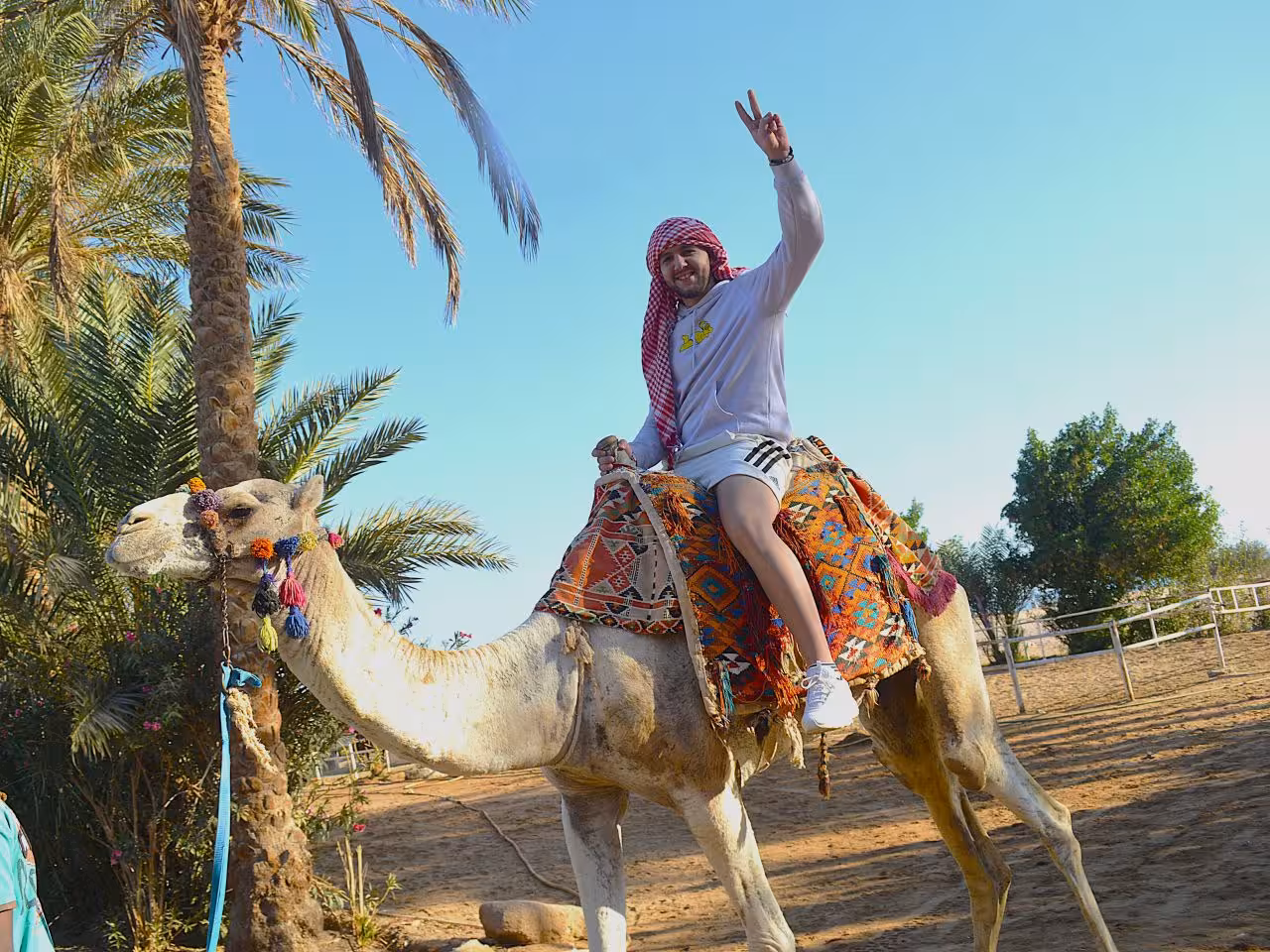 Bedouin camel ride Hurghada