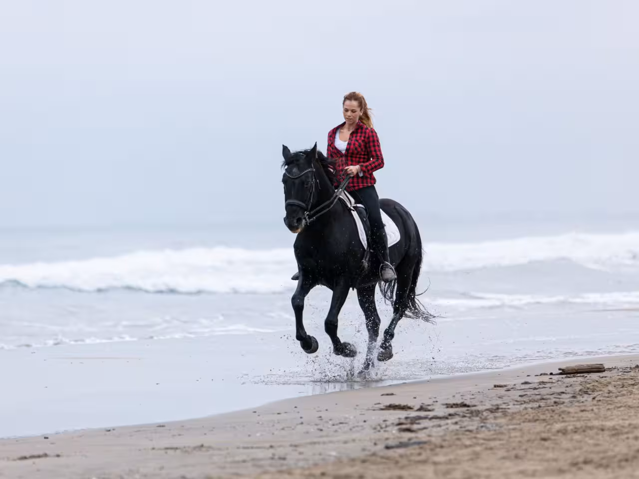 Best horse riding Hurghada