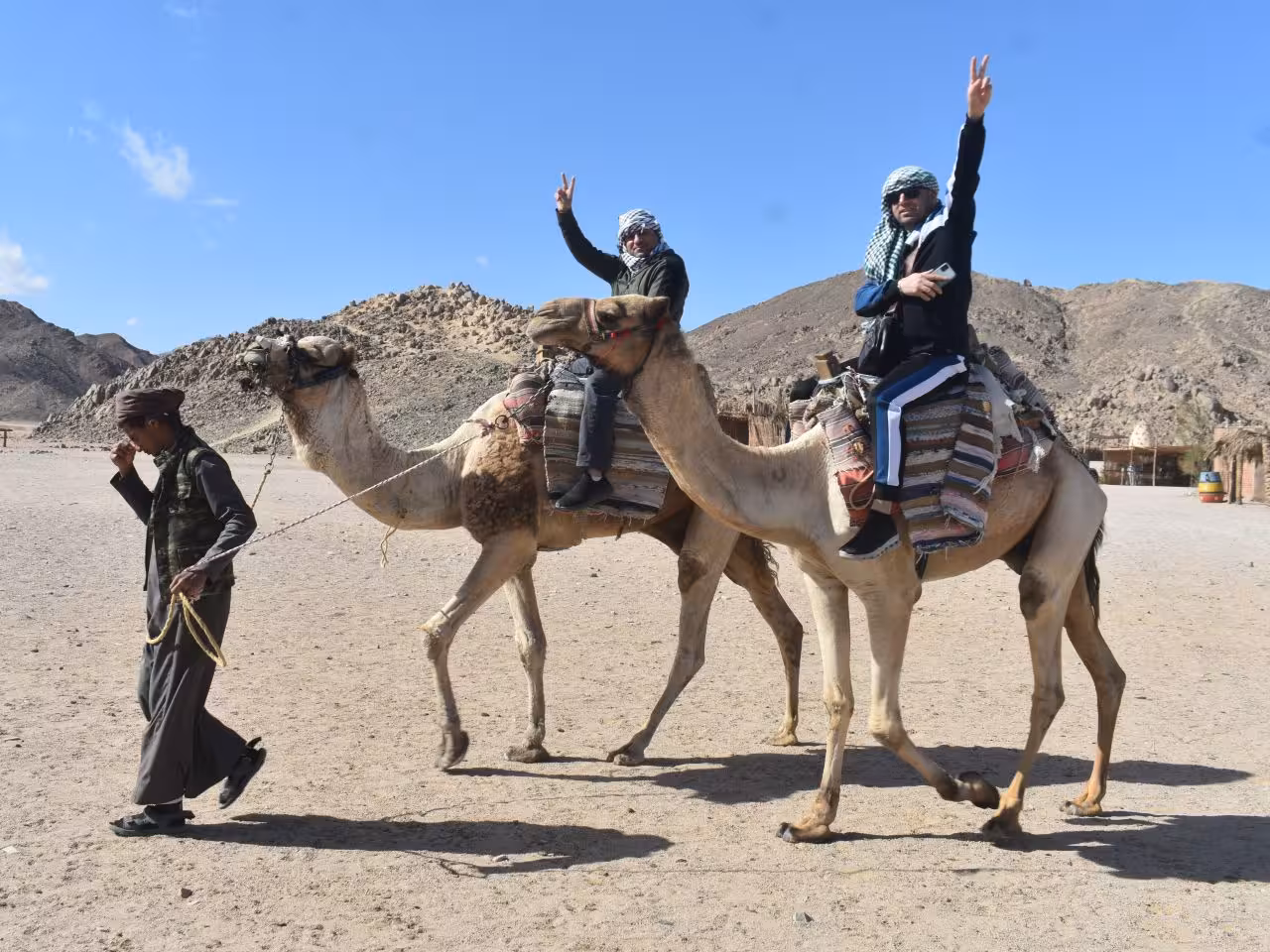 Book camel ride Hurghada
