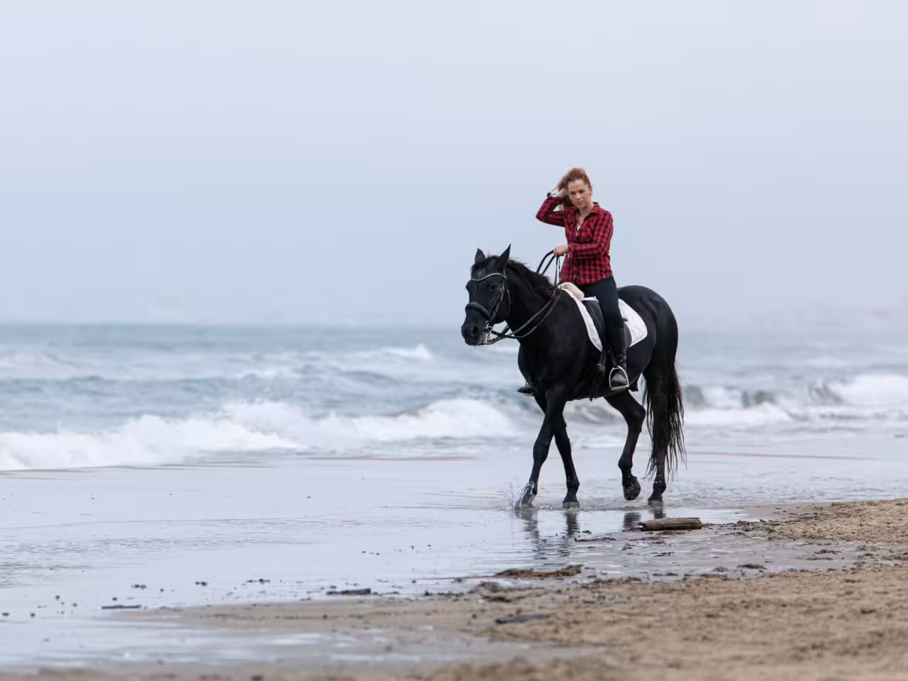Book horse riding Hurghada