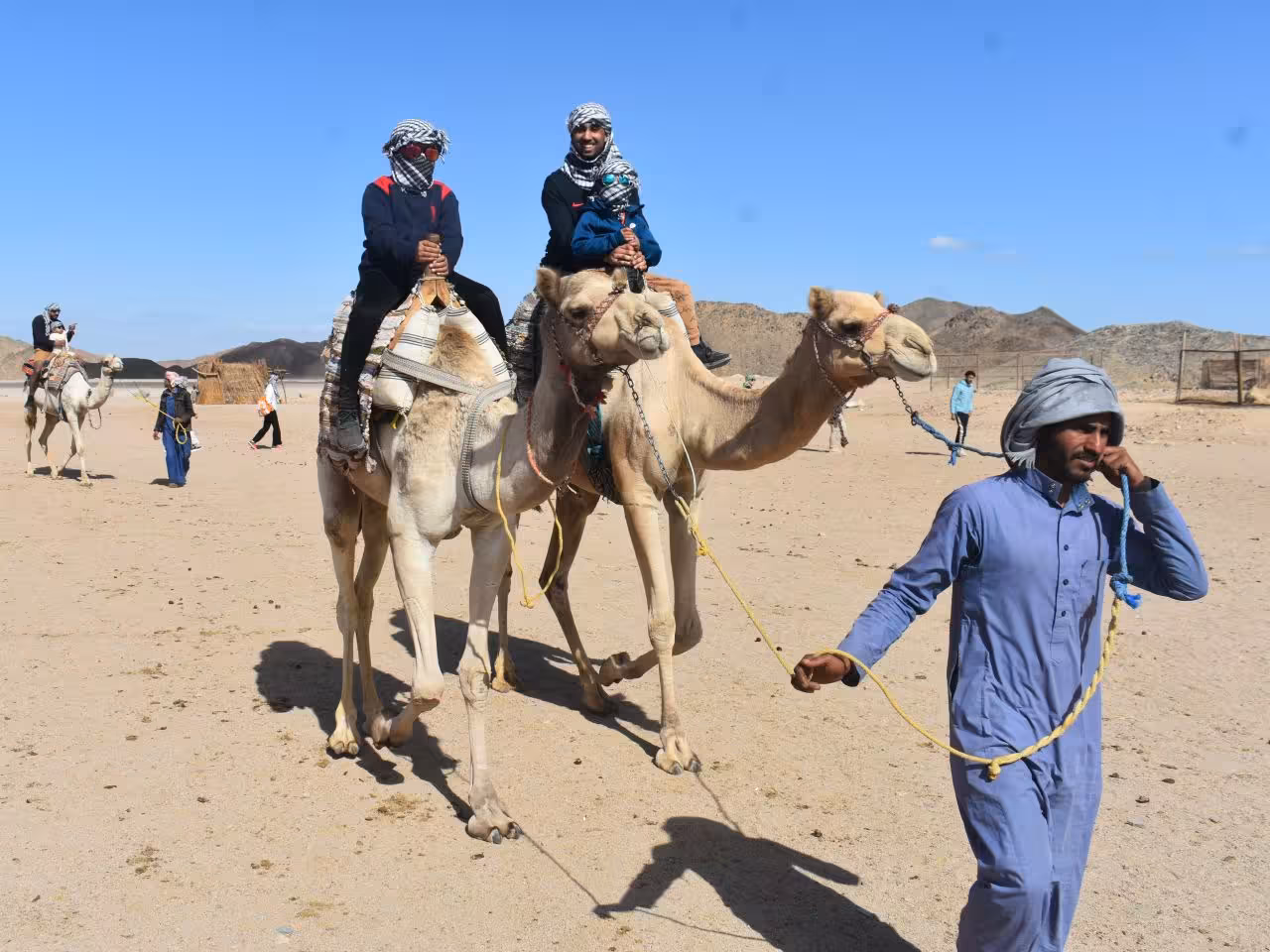 Camel ride and dinner Hurghada
