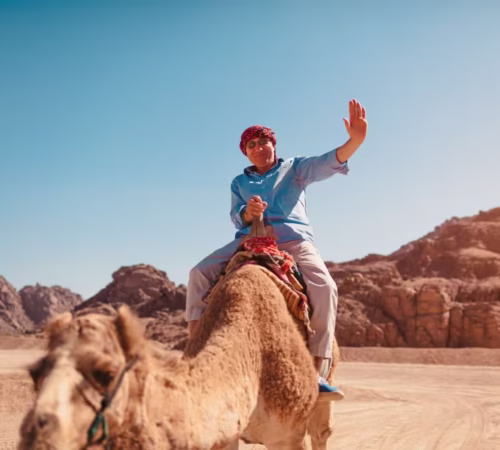 Hurghada Camel Ride With Arabic Coffee and Desert Picnic