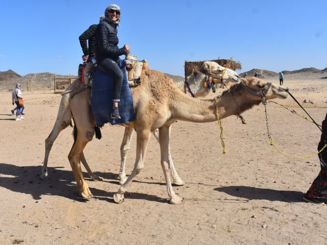 Camel safari Hurghada
