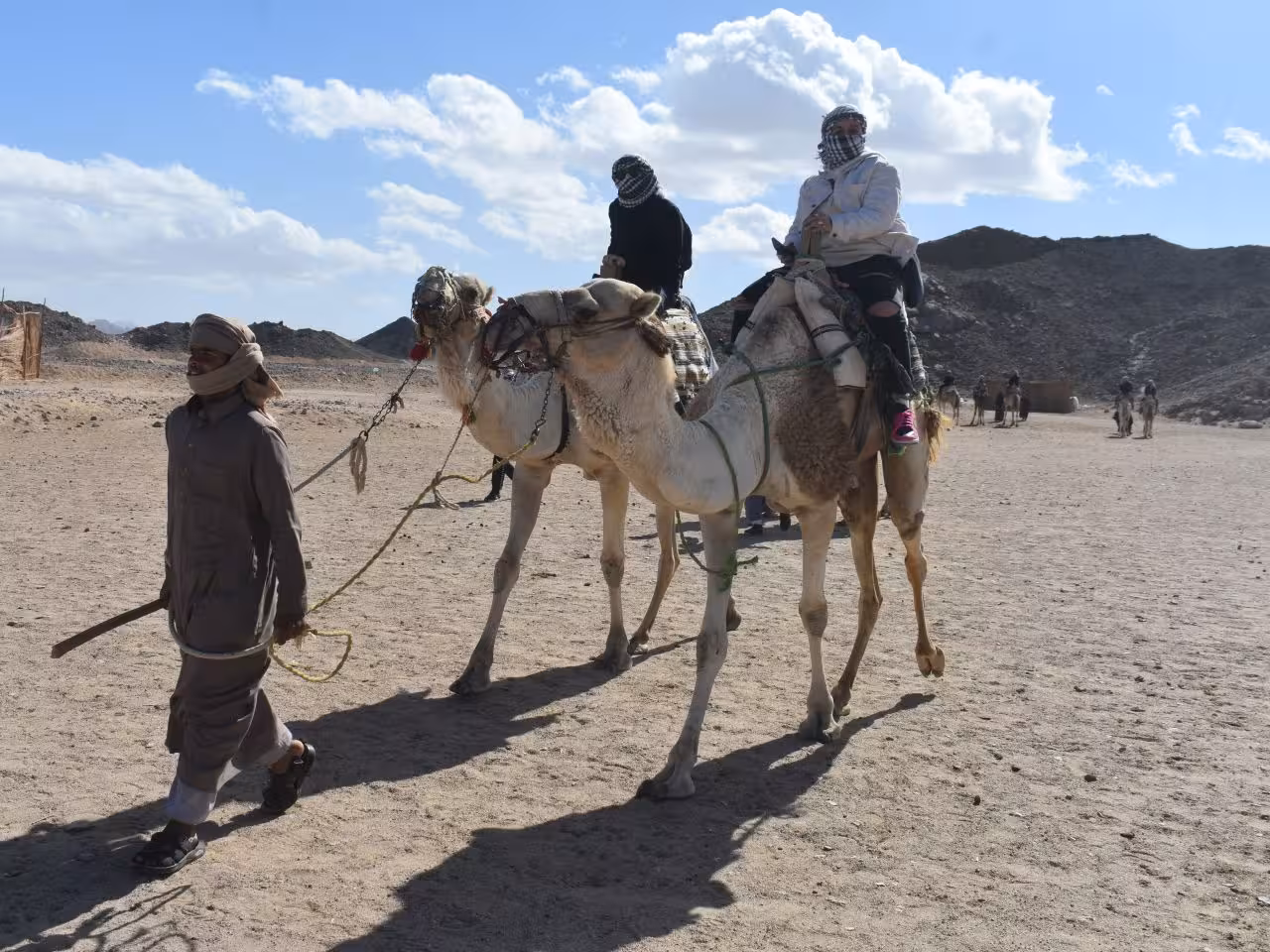 Camel trekking Hurghada