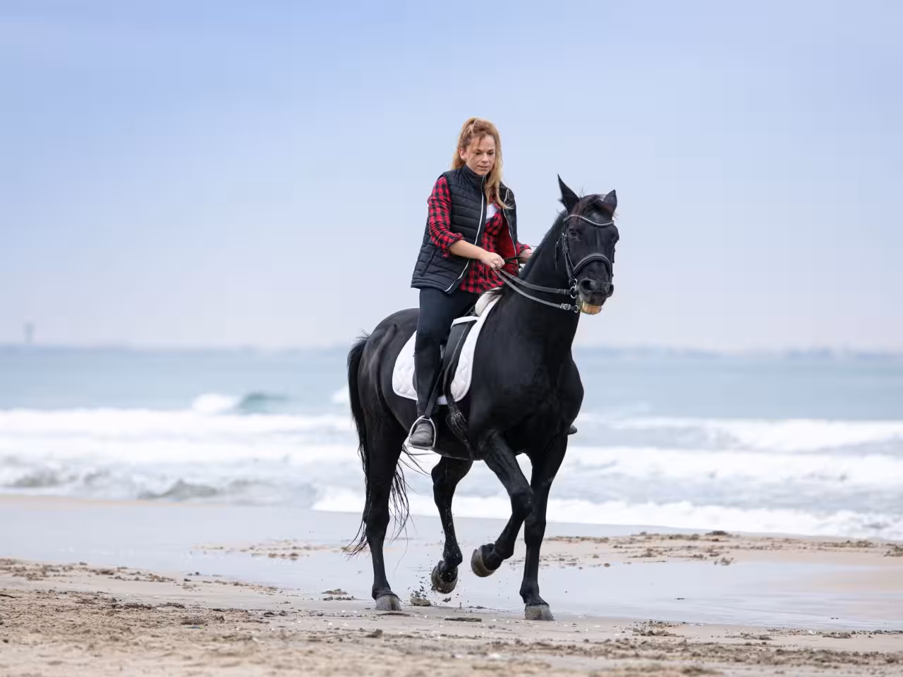 Desert Safari horse riding Hurghada