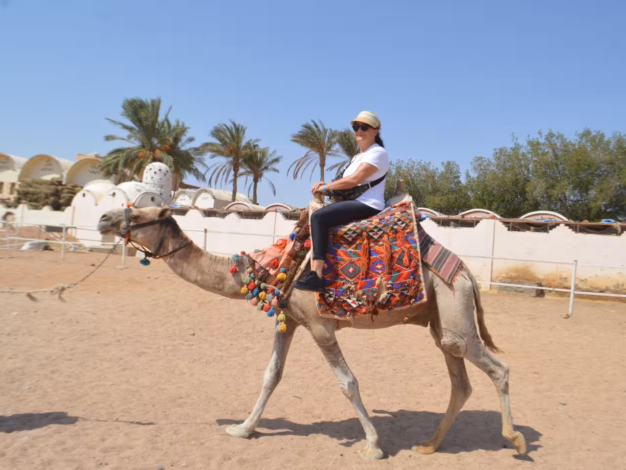 Family camel ride Hurghada