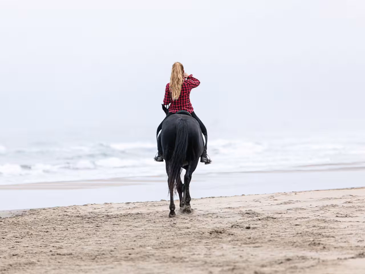 Horse Hurghada Tour