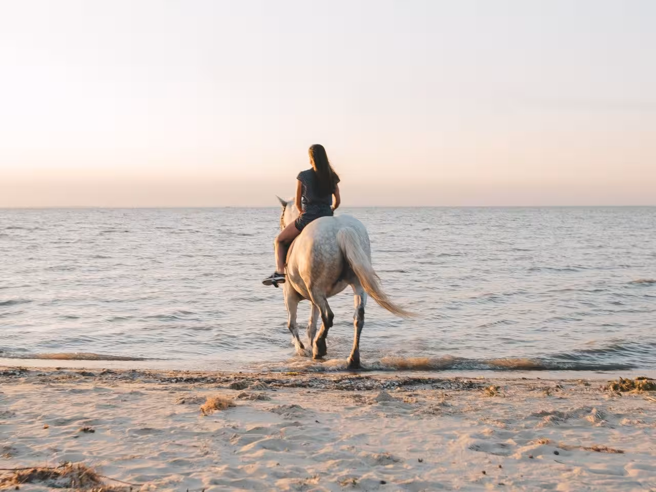 Horse riding excursion Hurghada