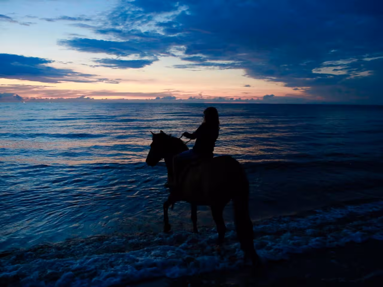 Horse riding Hurghada
