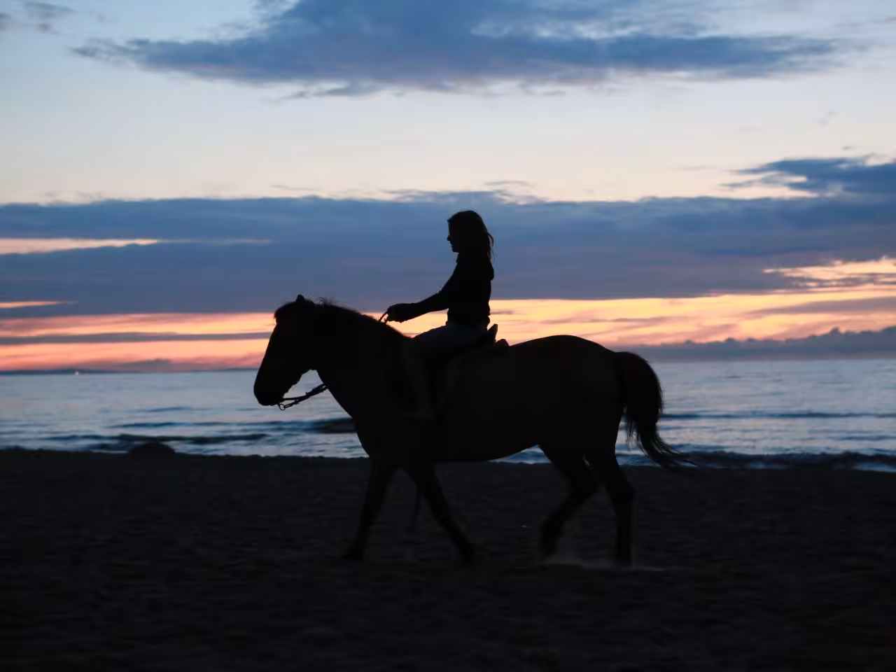 Horse riding on beach Hurghada