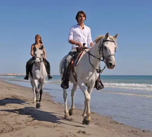 Horseback Riding Safari Hurghada With Beginner Lesson, Desert and Beach Ride