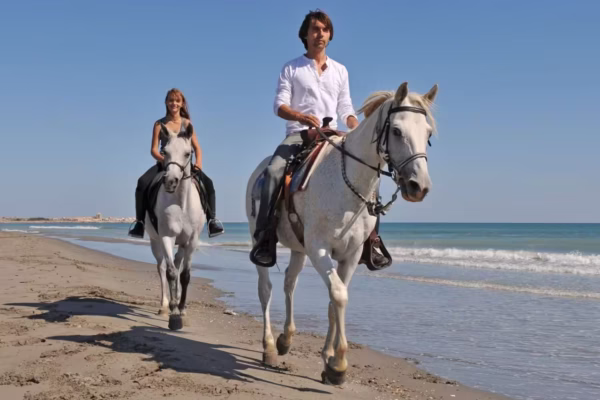 Horseback Riding Safari Hurghada With Beginner Lesson, Desert and Beach Ride