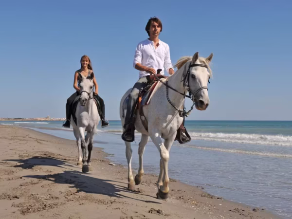Horseback Riding Safari Hurghada With Beginner Lesson, Desert and Beach Ride