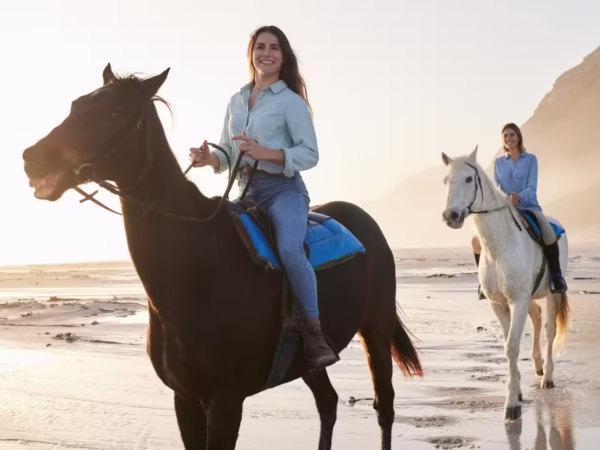 Horseback Hurghada Tour With Photo Stop and Golden-Hour Beach Ride