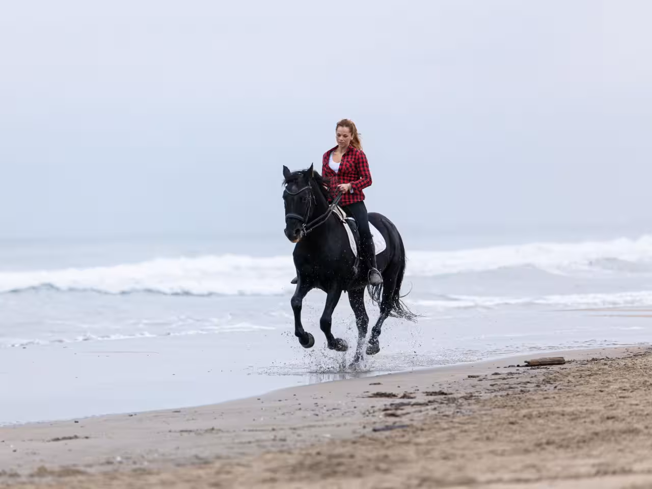 Hurghada beach horse riding