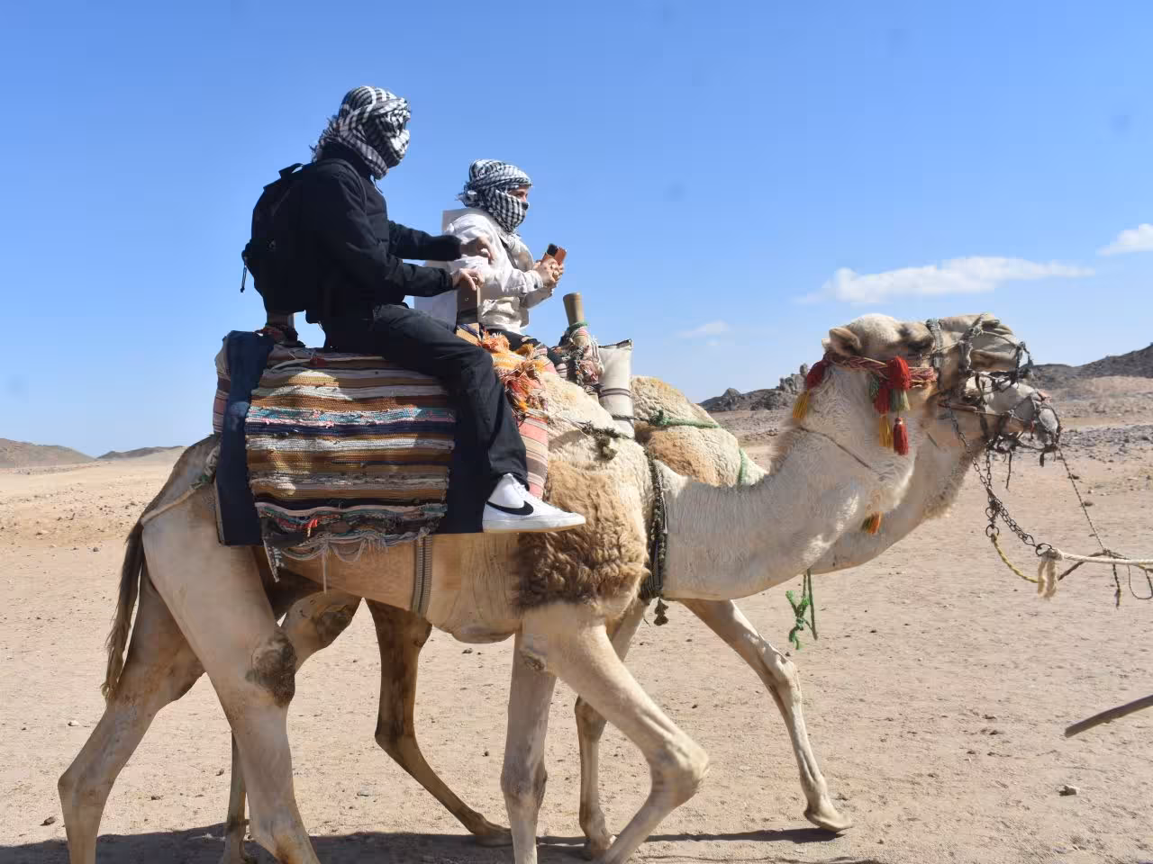 Hurghada camel ride price