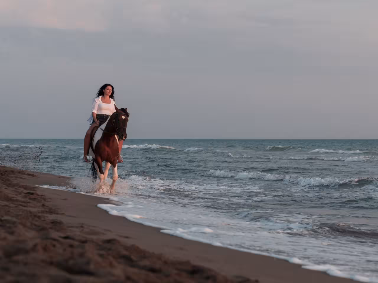 Hurghada horse riding price