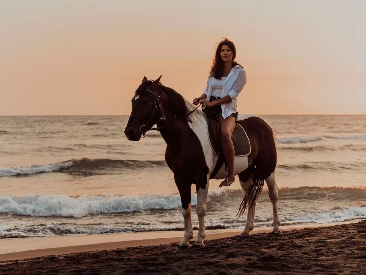 Hurghada horse riding