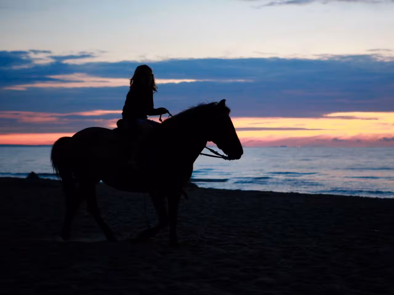 Hurghada horseback riding tour
