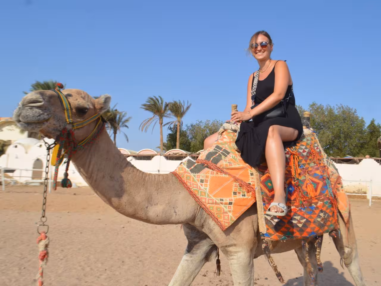 Private camel ride Hurghada