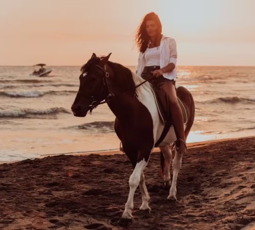 Horse Riding in Hurghada Egypt With Hotel Transfer and Guided Adventure