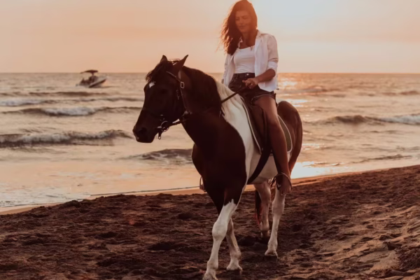 Horse Riding in Hurghada Egypt With Hotel Transfer and Guided Adventure