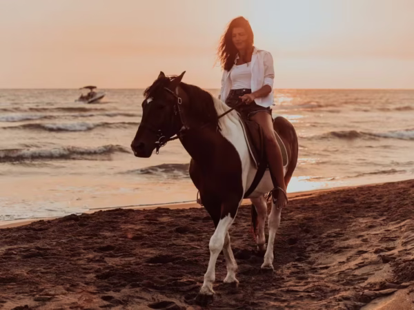 Horse Riding in Hurghada Egypt With Hotel Transfer and Guided Adventure
