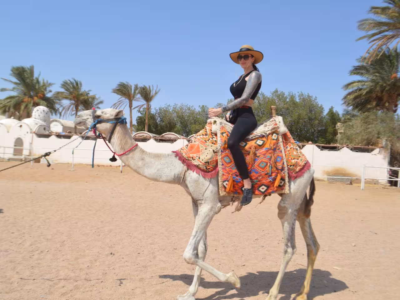 Romantic camel ride Hurghada