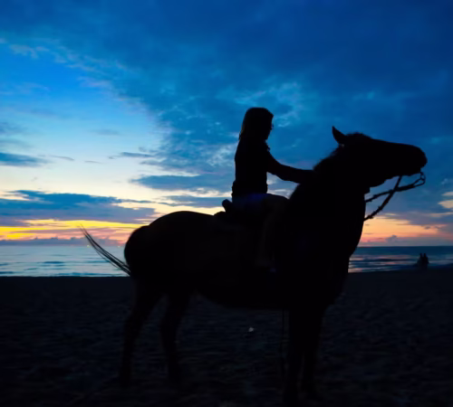 Horse Hurghada Tour With Sunset Beach Ride and Hotel Pickup