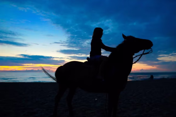 Horse Hurghada Tour With Sunset Beach Ride and Hotel Pickup