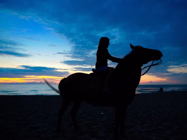 Horse Hurghada Tour With Sunset Beach Ride and Hotel Pickup